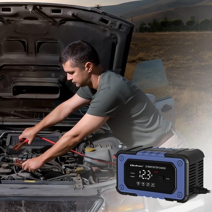 Intelligent battery charger with repair function